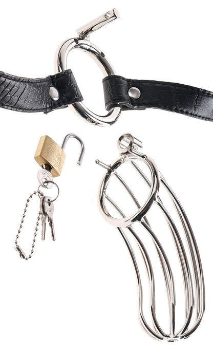 Cage de chasteté pour homme