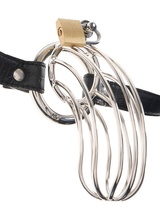 Cage de chasteté pour homme